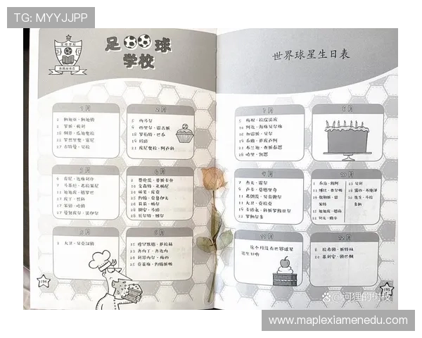 足球明星的传奇故事与他们背后的名字解析